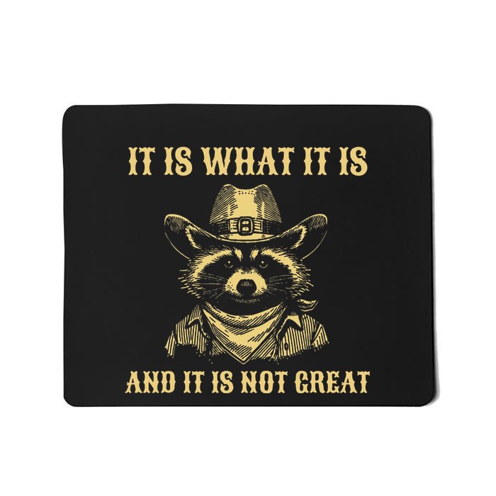 It Is What It Is And Its Not Great Funny Raccoon Mousepad