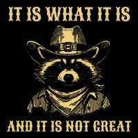 It Is What It Is And Its Not Great Funny Raccoon Mousepad