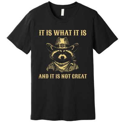 It Is What It Is And Its Not Great Funny Raccoon Premium T-Shirt