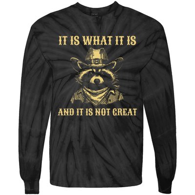 It Is What It Is And Its Not Great Funny Raccoon Tie-Dye Long Sleeve Shirt