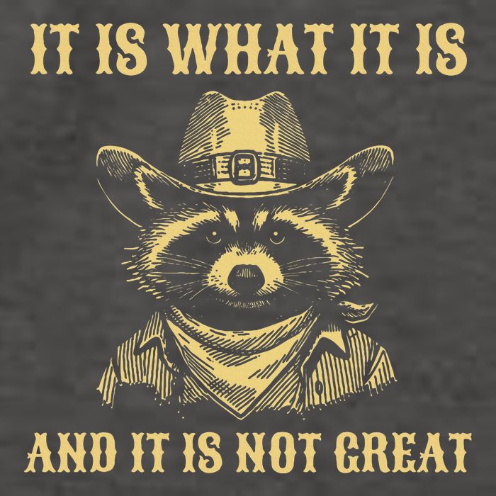 It Is What It Is And Its Not Great Funny Raccoon Vector Backpack