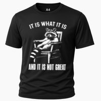 It Is What It Is And It Is Not Great Racoon Cooling Performance Crew T-Shirt