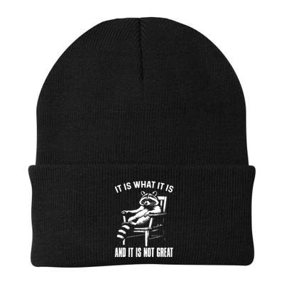 It Is What It Is And It Is Not Great Racoon Knit Cap Winter Beanie