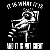 It Is What It Is And It Is Not Great Racoon 16 in Basic Backpack