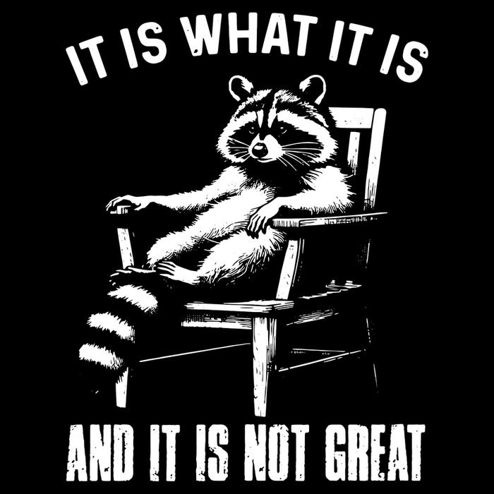 It Is What It Is And It Is Not Great Racoon 16 in Basic Backpack