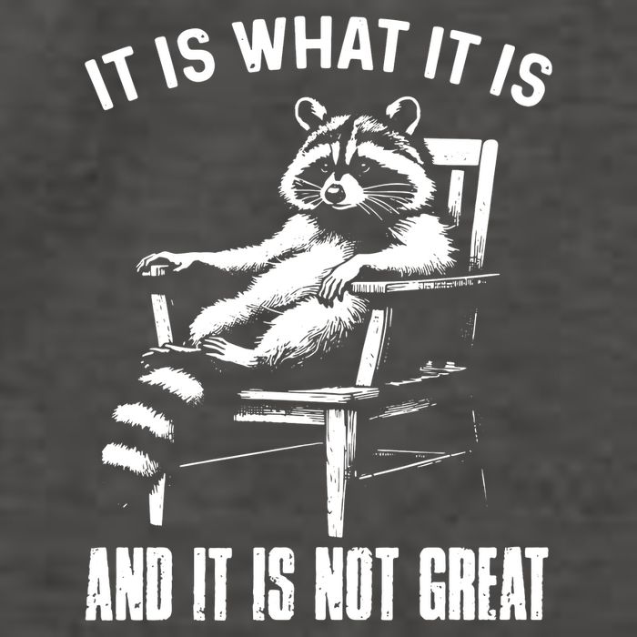 It Is What It Is And It Is Not Great Racoon Vector Backpack