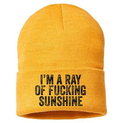 IM Just A Ray Of Fucking Sunshine Funny Sarcastic Vintage Sustainable Knit Beanie