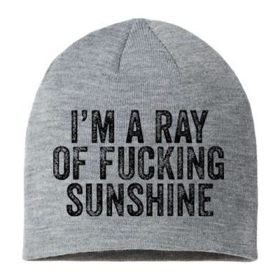 IM Just A Ray Of Fucking Sunshine Funny Sarcastic Vintage Sustainable Beanie