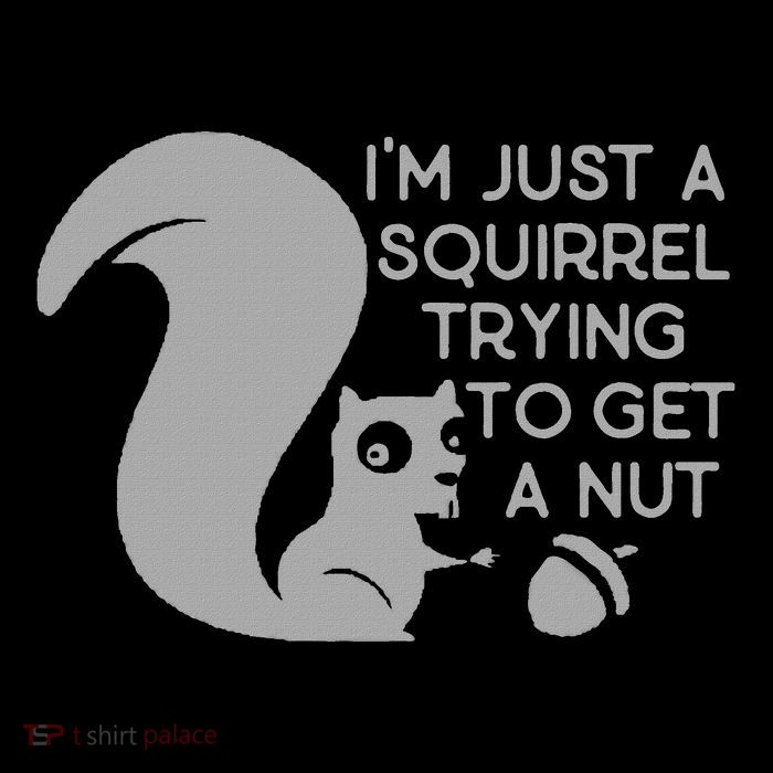 IM Just A Squirrel Trying To Get A Nut Button