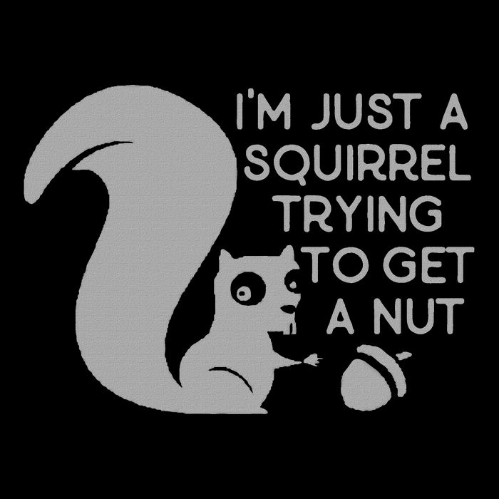 IM Just A Squirrel Trying To Get A Nut Flat Bill Trucker Hat
