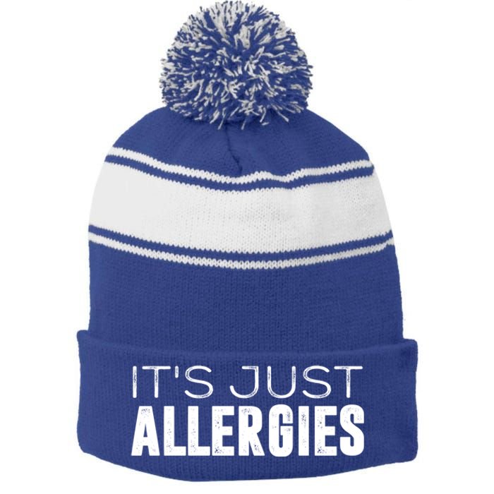 It's Just Allergies Gift Stripe Pom Pom Beanie