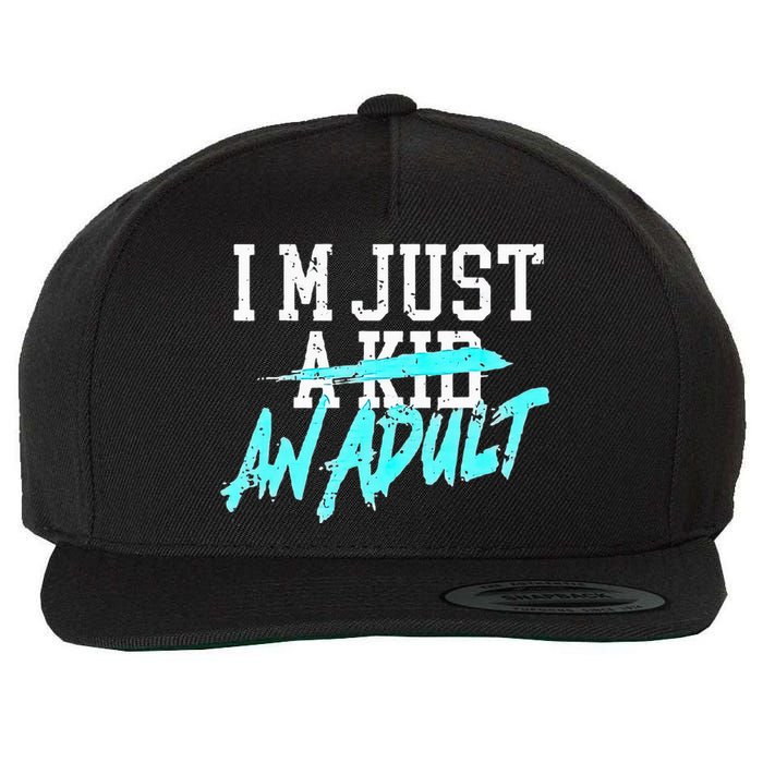 IM Just A An Adult Wool Snapback Cap