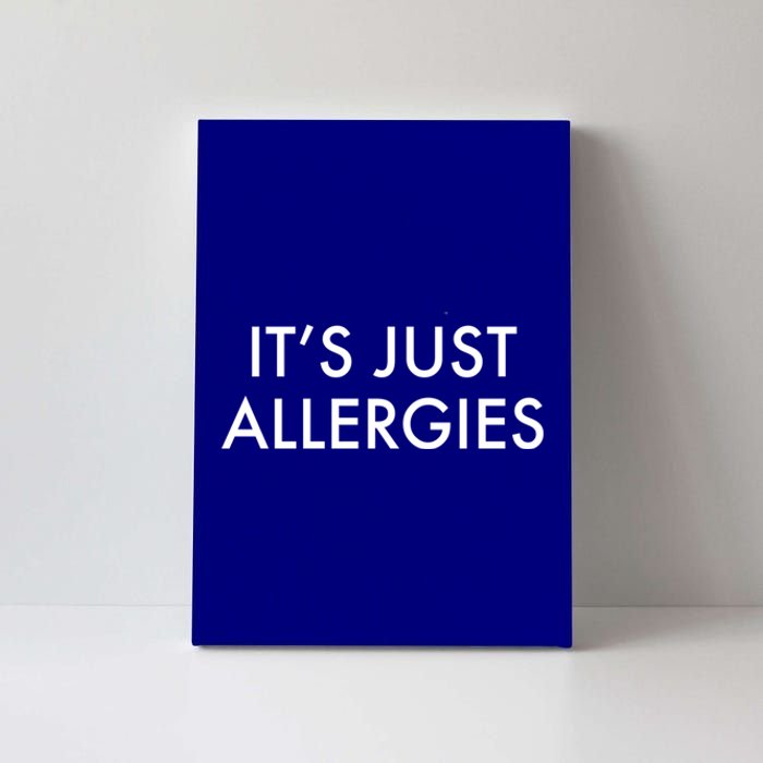 It's Just Allergies Meaningful Gift Canvas