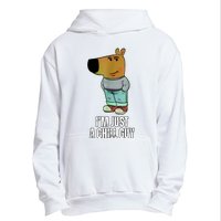 IM Just A Chill Guy Funny Meme Urban Pullover Hoodie