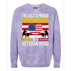 I'm Just A Proud Grandchild Of A Veteran Hero Colorblast Crewneck Sweatshirt