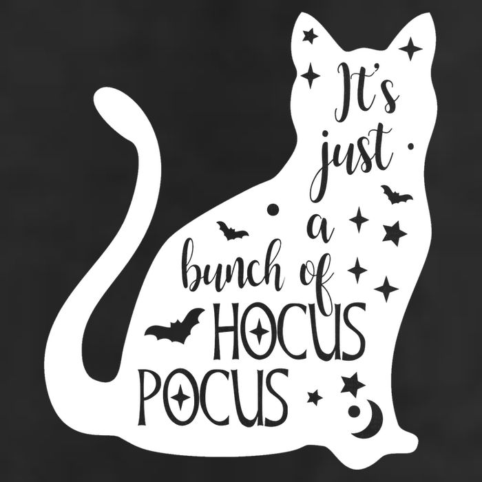 It's Just A Bunch Of Hocus Pocus Cat 15oz Campfire Ceramic Mug