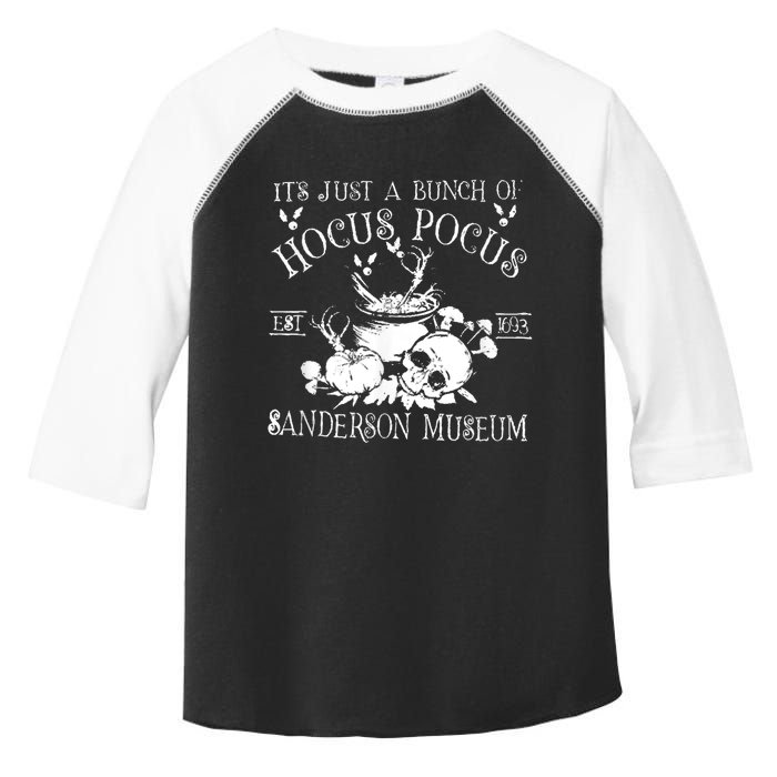 It's Just A Bunch Of Hocus Pocus Toddler Fine Jersey T-Shirt