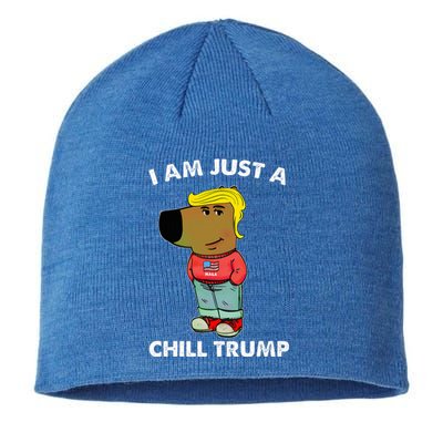 Im Just A Chill Trump Dog Lover Trump Fun Sustainable Beanie