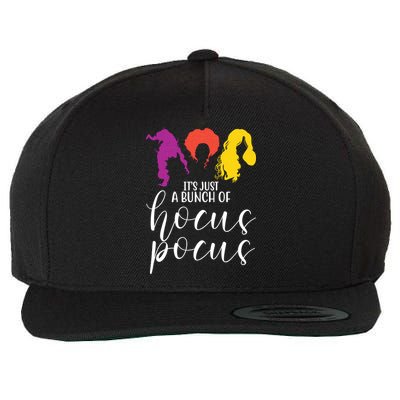It's Just A Bunch Of Hocus Pocus Witches Wool Snapback Cap