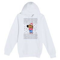 IM Just A Chill Girl Who Likes Christmas Ugly Sweater Premium Pullover Hoodie