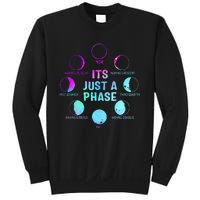 Its Just A Phase Celestial Moon Lunar Cycle Astronomy Sweatshirt