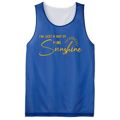 IM Just A Ray Of Fing Sunshine Sarcastic Funny Adult Humor Gift Mesh Reversible Basketball Jersey Tank