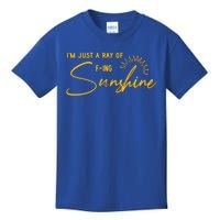 IM Just A Ray Of Fing Sunshine Sarcastic Funny Adult Humor Gift Kids T-Shirt