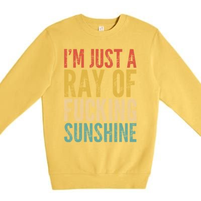 IM Just A Ray Of Fucking Sunshine Funny Saying Sarcastic Gift Premium Crewneck Sweatshirt