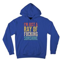 IM Just A Ray Of Fucking Sunshine Funny Saying Sarcastic Gift Hoodie