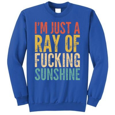 IM Just A Ray Of Fucking Sunshine Funny Saying Sarcastic Gift Sweatshirt