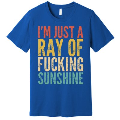 IM Just A Ray Of Fucking Sunshine Funny Saying Sarcastic Gift Premium T-Shirt