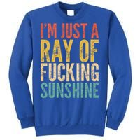 IM Just A Ray Of Fucking Sunshine Funny Saying Sarcastic Gift Tall Sweatshirt