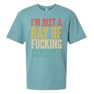 IM Just A Ray Of Fucking Sunshine Funny Saying Sarcastic Gift Sueded Cloud Jersey T-Shirt