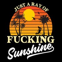 IM Just A Ray Of Fucking Sunshine Funny Sarcastic Funny Gift Mug