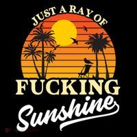 IM Just A Ray Of Fucking Sunshine Funny Sarcastic Funny Gift Flatbill Hat