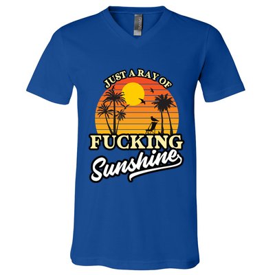 IM Just A Ray Of Fucking Sunshine Funny Sarcastic Funny Gift V-Neck T-Shirt