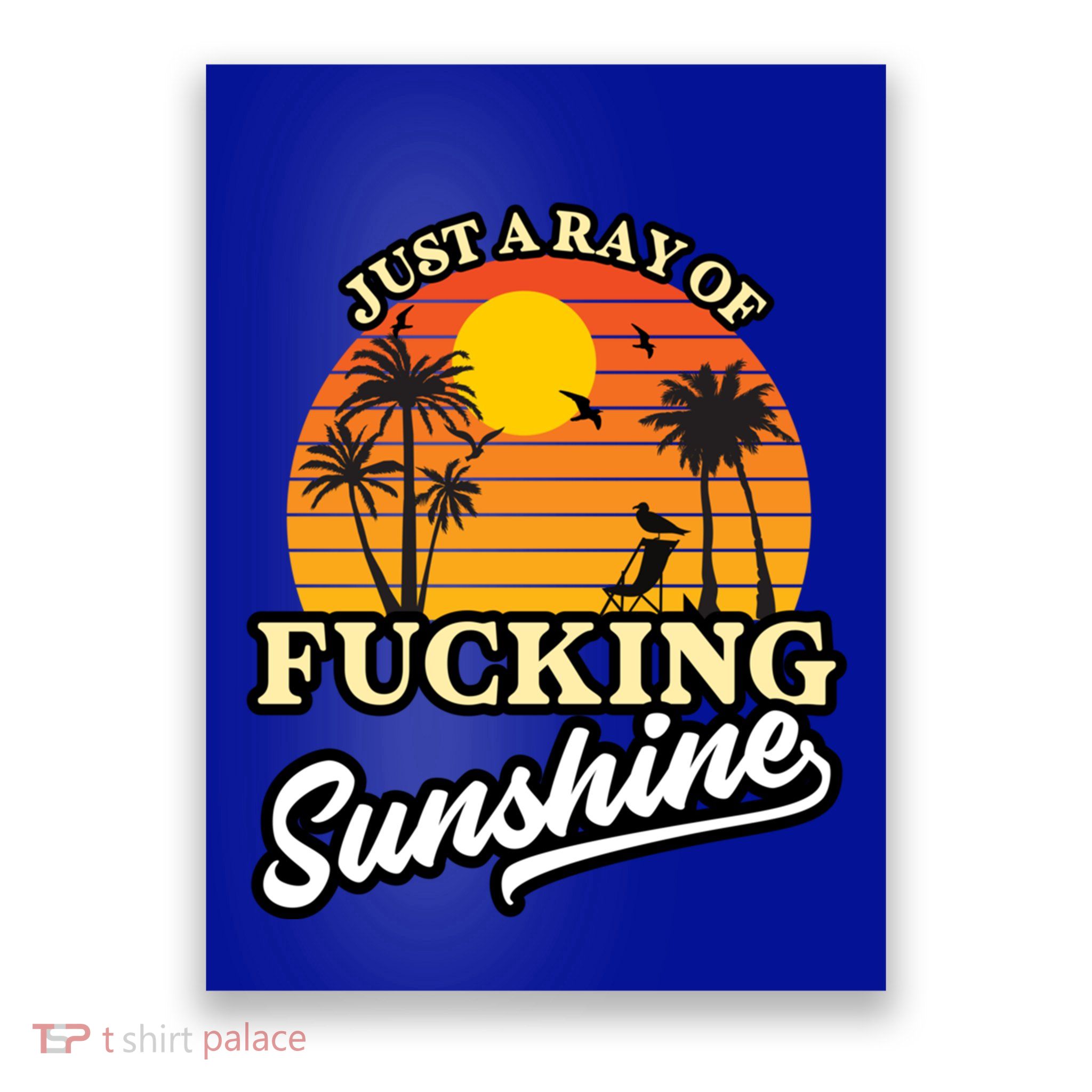 IM Just A Ray Of Fucking Sunshine Funny Sarcastic Funny Gift Poster