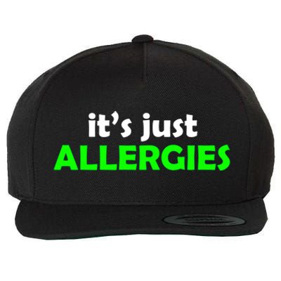 It's Just Allergies Gift Allergy Humor Gift Wool Snapback Cap