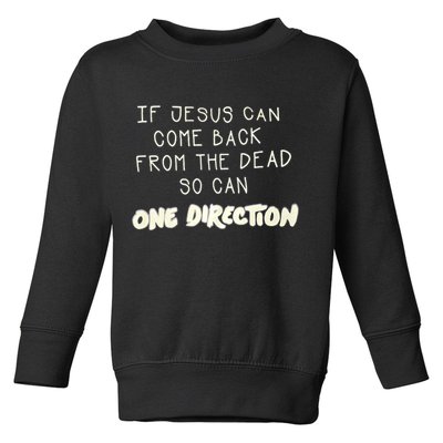 If Jesus Can Come Back From The Dead So Can One Direction Toddler Sweatshirt