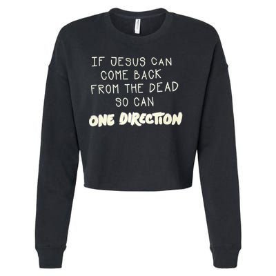 If Jesus Can Come Back From The Dead So Can One Direction Cropped Pullover Crew