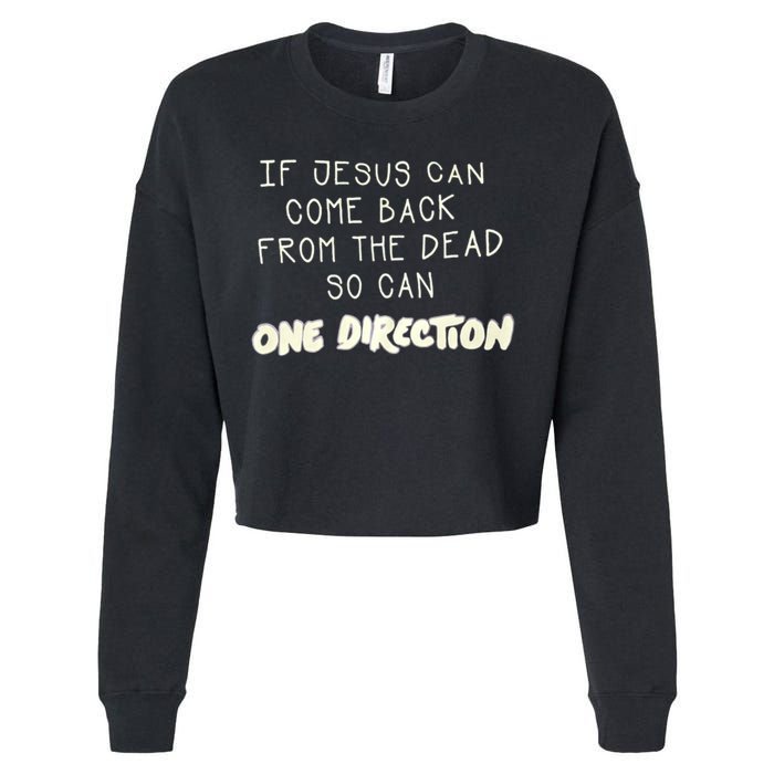 If Jesus Can Come Back From The Dead So Can One Direction Cropped Pullover Crew