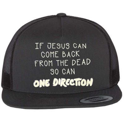 If Jesus Can Come Back From The Dead So Can One Direction Flat Bill Trucker Hat