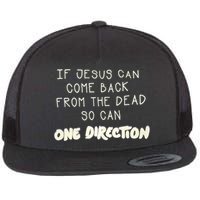 If Jesus Can Come Back From The Dead So Can One Direction Flat Bill Trucker Hat