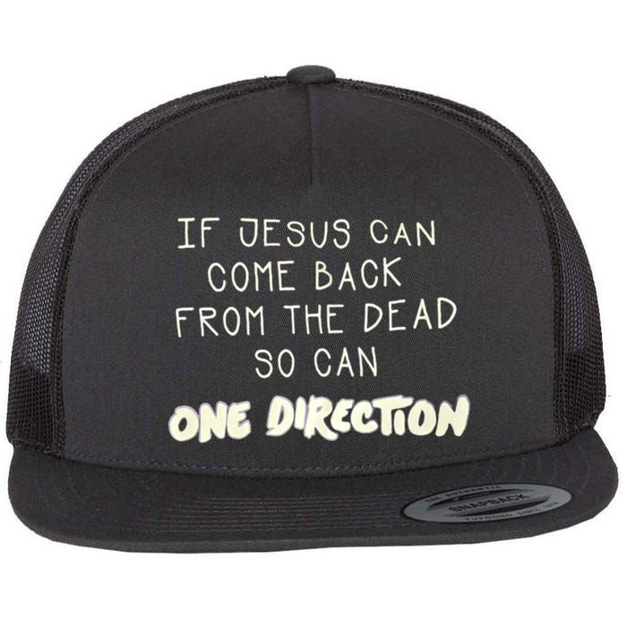 If Jesus Can Come Back From The Dead So Can One Direction Flat Bill Trucker Hat