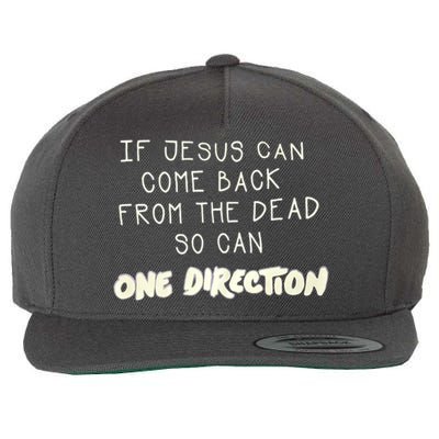 If Jesus Can Come Back From The Dead So Can One Direction Wool Snapback Cap