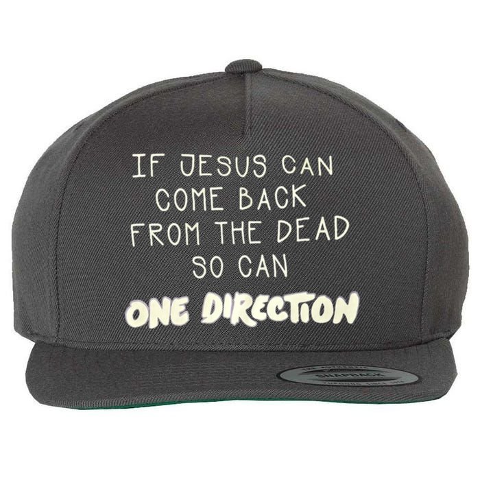 If Jesus Can Come Back From The Dead So Can One Direction Wool Snapback Cap