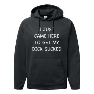 I Just Came Here To Get My Dick Sucked Adult Humor Offensive Performance Fleece Hoodie