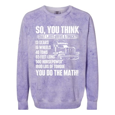 I Just Drive A Truck Cute Gift Trucker Semi Truck Driver Big Rig Cute Gift Colorblast Crewneck Sweatshirt