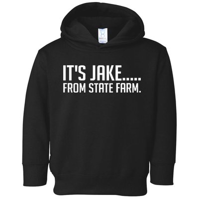 ItS Jake From State Farm Funny Toddler Hoodie