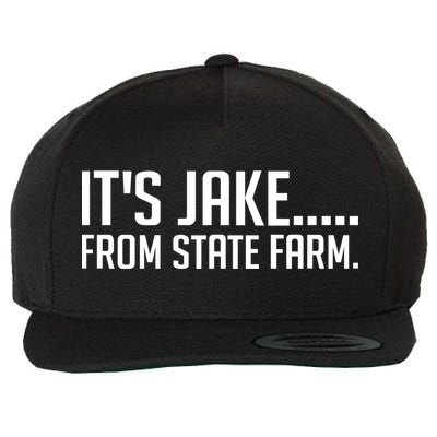 ItS Jake From State Farm Funny Wool Snapback Cap